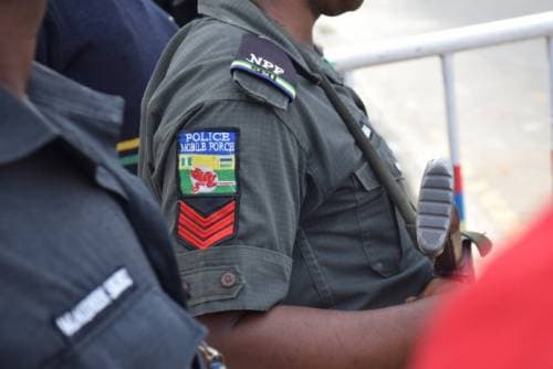 Police arrest father, teenage son over illegal firearm in Ogun