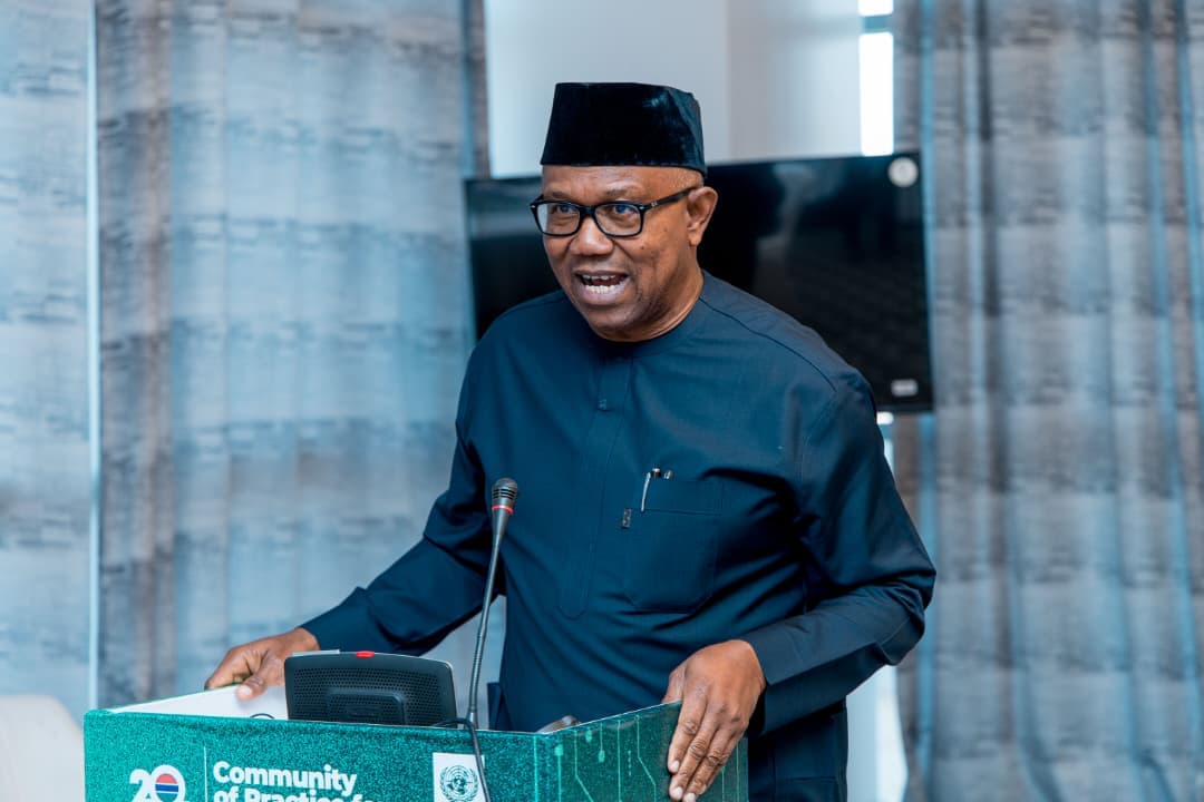 Tinubu’s recruitment of 1,000 forest guards in Oyo shows poor leadership — Peter Obi